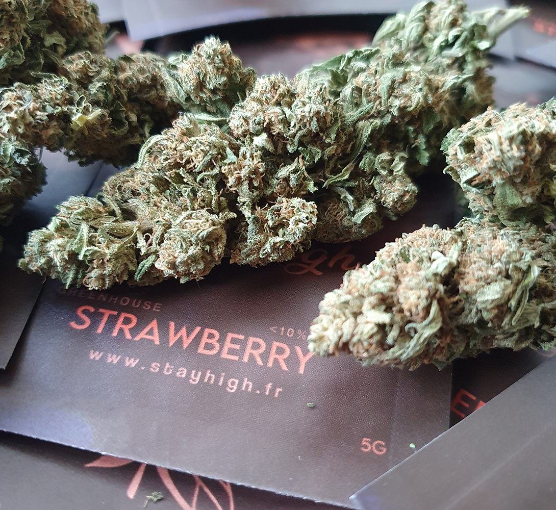 Notre fleur de CBD Strawberry